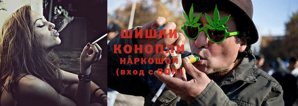 сатива Володарск