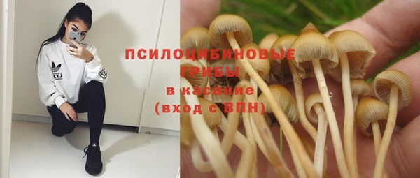 сатива Володарск