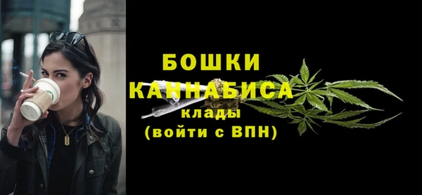 сатива Володарск