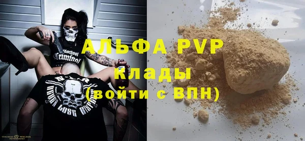 сатива Володарск
