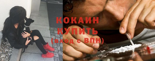 сатива Володарск